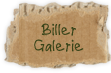 eis Gallerie